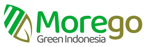 Morego
